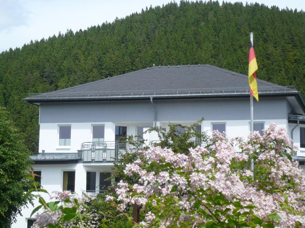 Fewo Penthaus-Blick Willingen  Zewnętrze zdjęcie