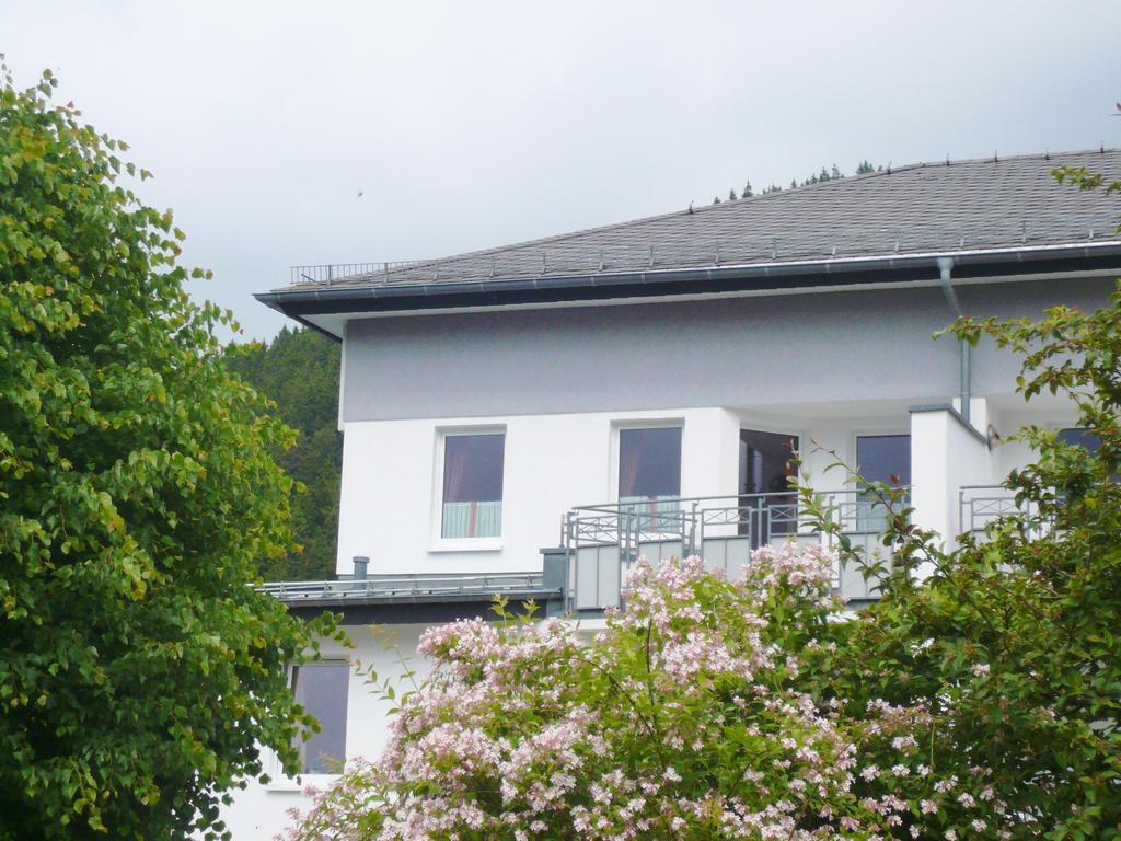 Fewo Penthaus-Blick Willingen  Zewnętrze zdjęcie